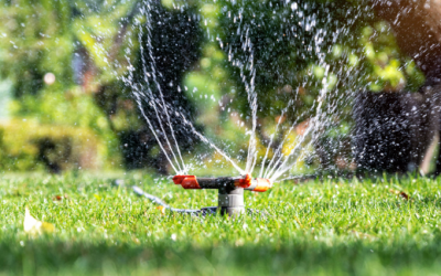 The Importance of Wet Checks in Sprinkler Maintenance